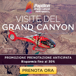 PAP ADV30_250x250_ITA
