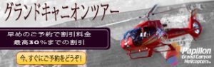 PAP ADV30_320x100_JPN
